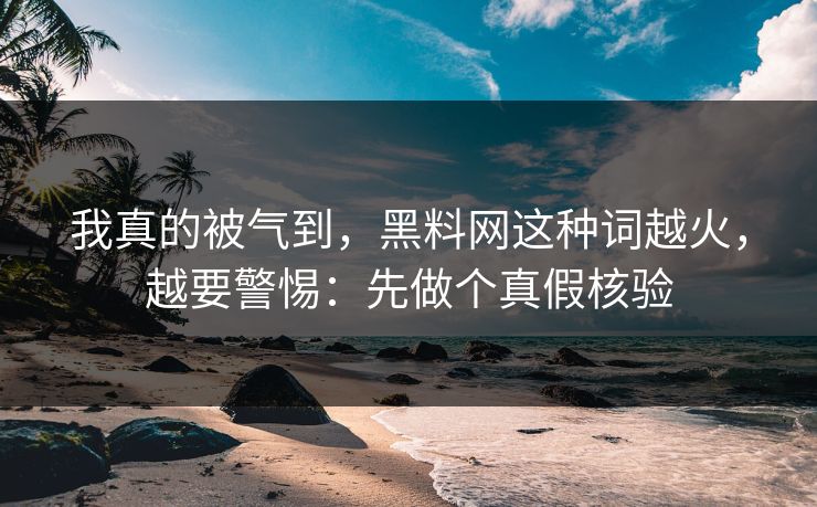 我真的被气到，黑料网这种词越火，越要警惕：先做个真假核验